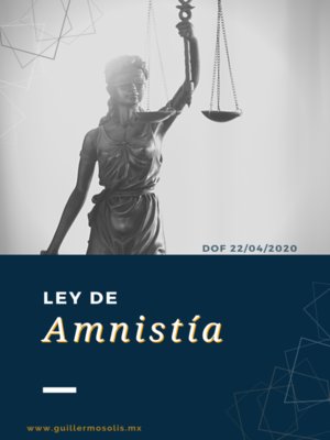 cover image of Ley de Amnistía